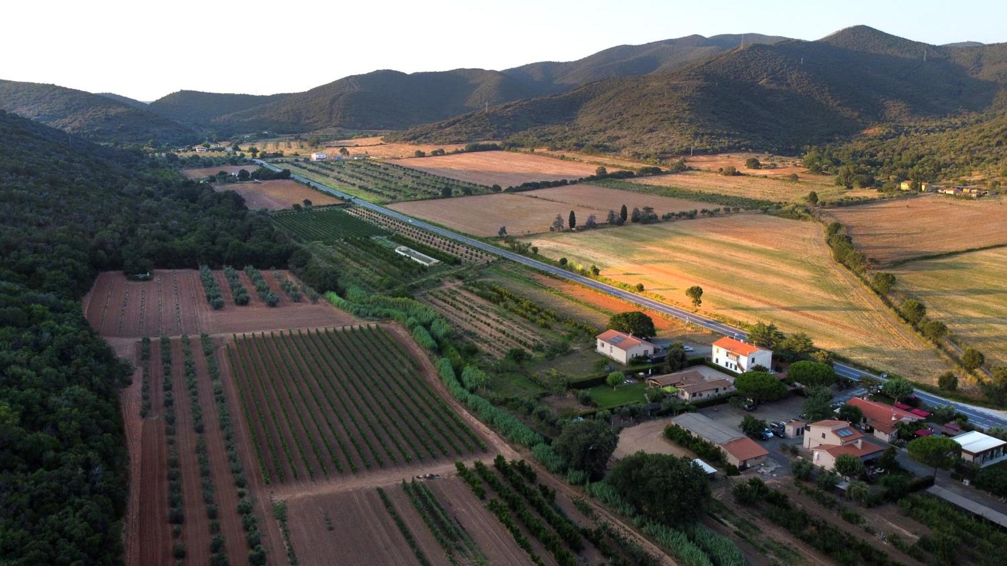 Agriturismo La Sassicaia Кастильоне-делла-Пеская Экстерьер фото